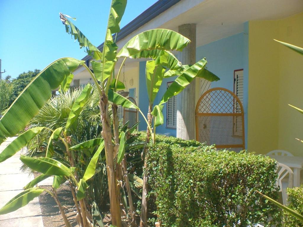 Residence Heaven Ricadi Room photo